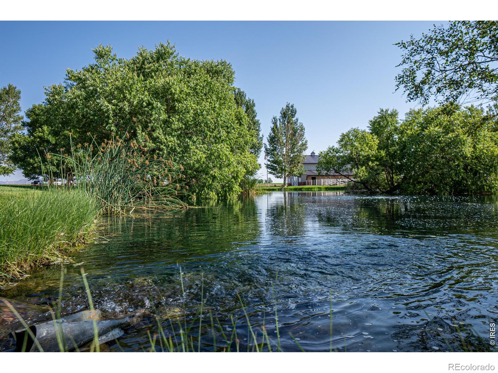 MLS Image #6 for 612 w county road 74 ,wellington, Colorado