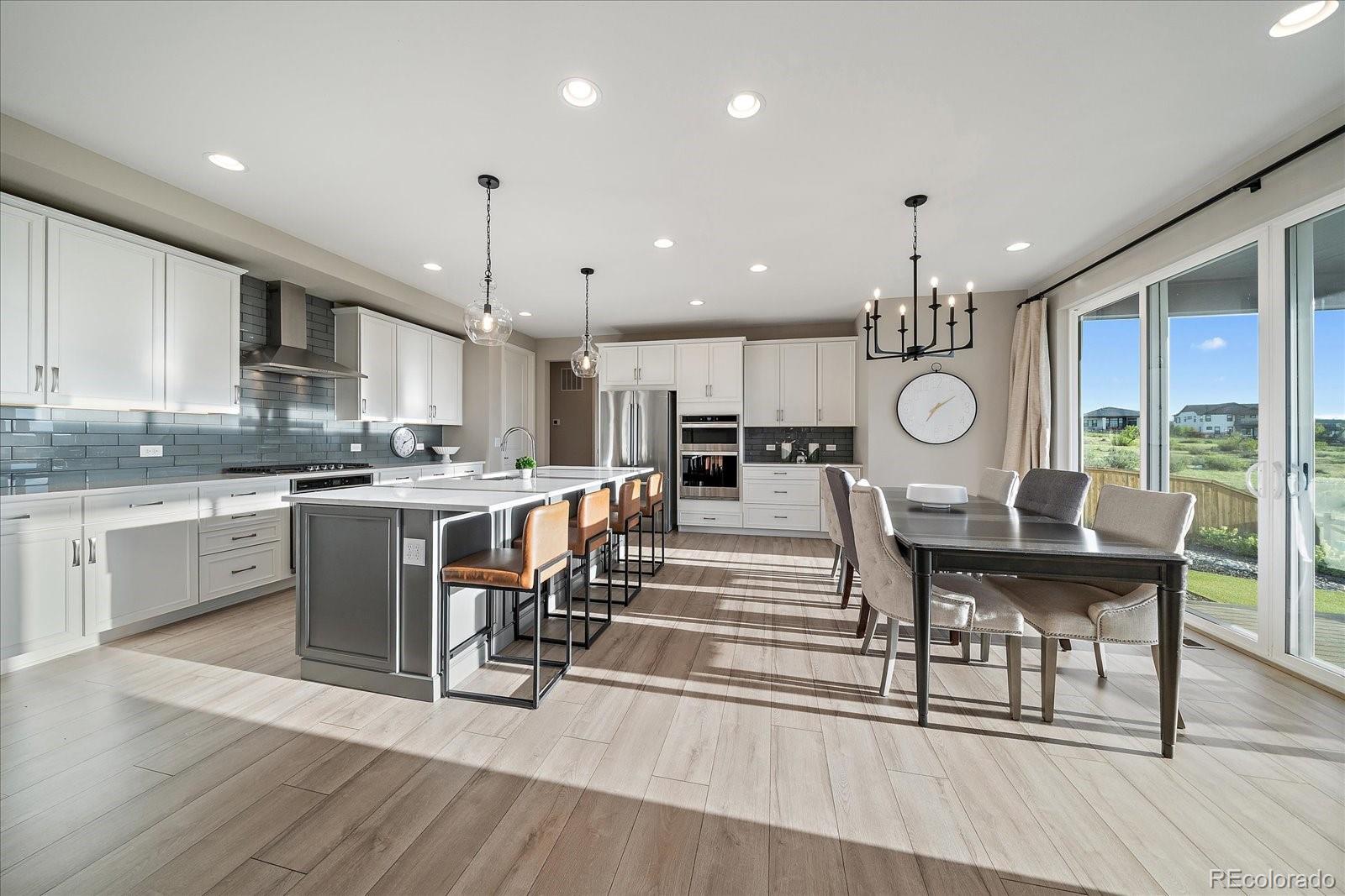 MLS Image #6 for 14365  shasta daisy point,parker, Colorado