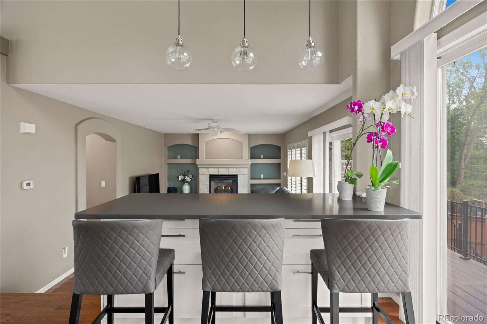 MLS Image #13 for 9145  roadrunner drive,highlands ranch, Colorado