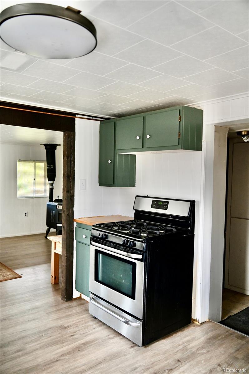 MLS Image #9 for 1516  heeney road,silverthorne, Colorado