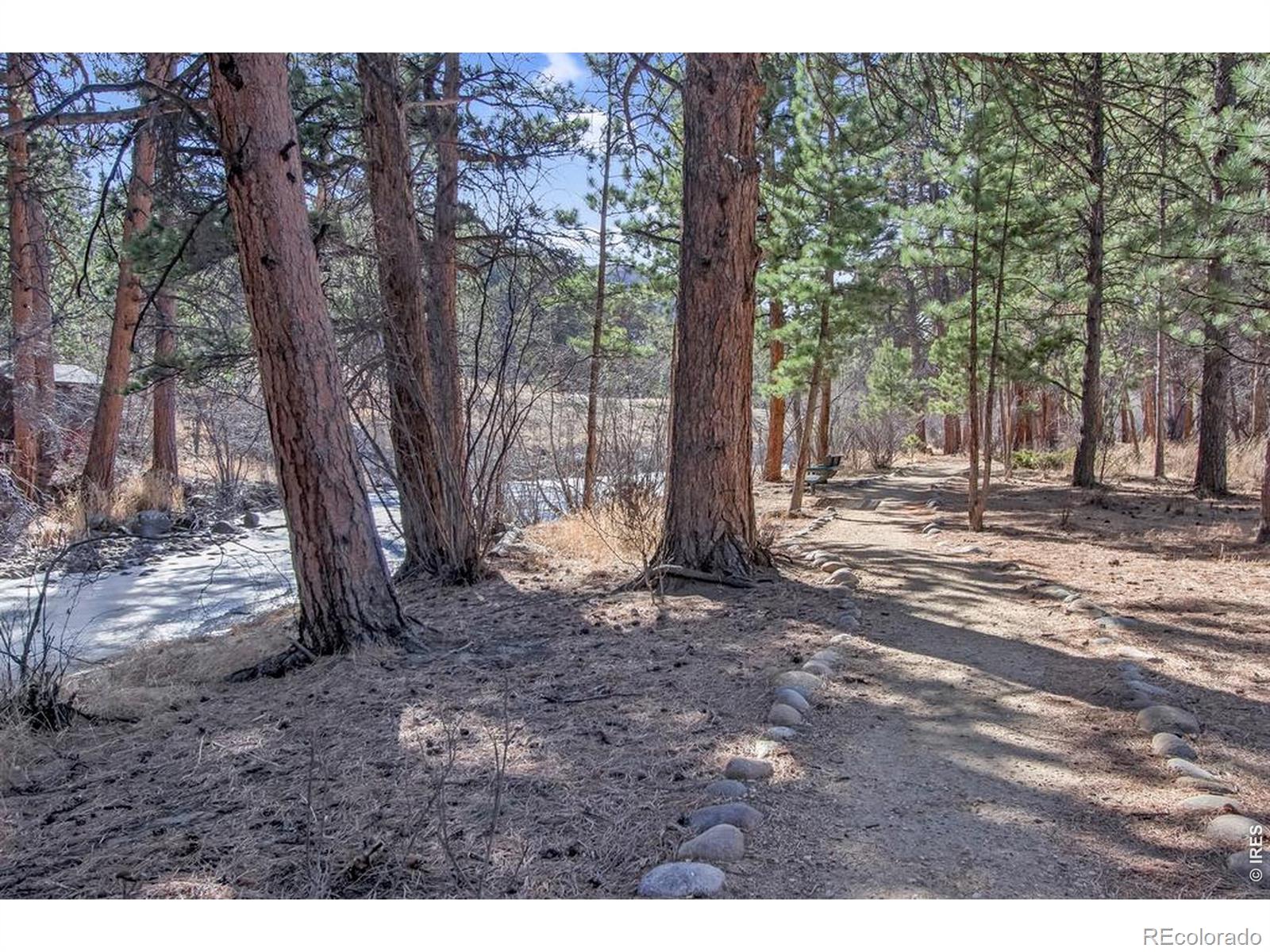 MLS Image #2 for 650  park river place,estes park, Colorado