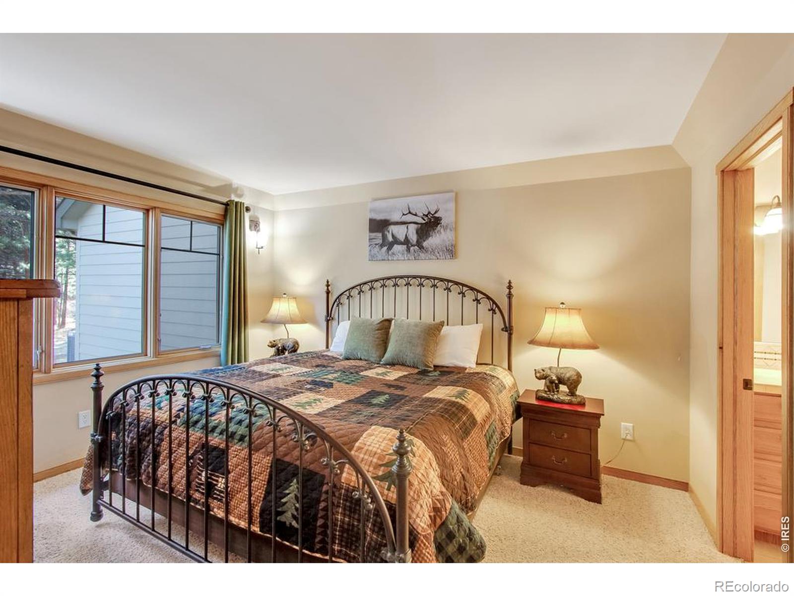 MLS Image #23 for 650  park river place,estes park, Colorado
