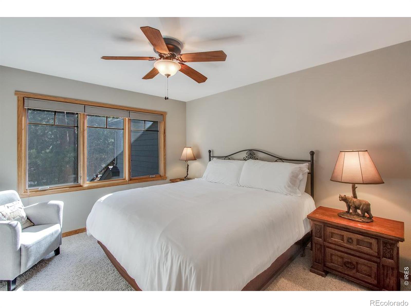 MLS Image #36 for 650  park river place,estes park, Colorado