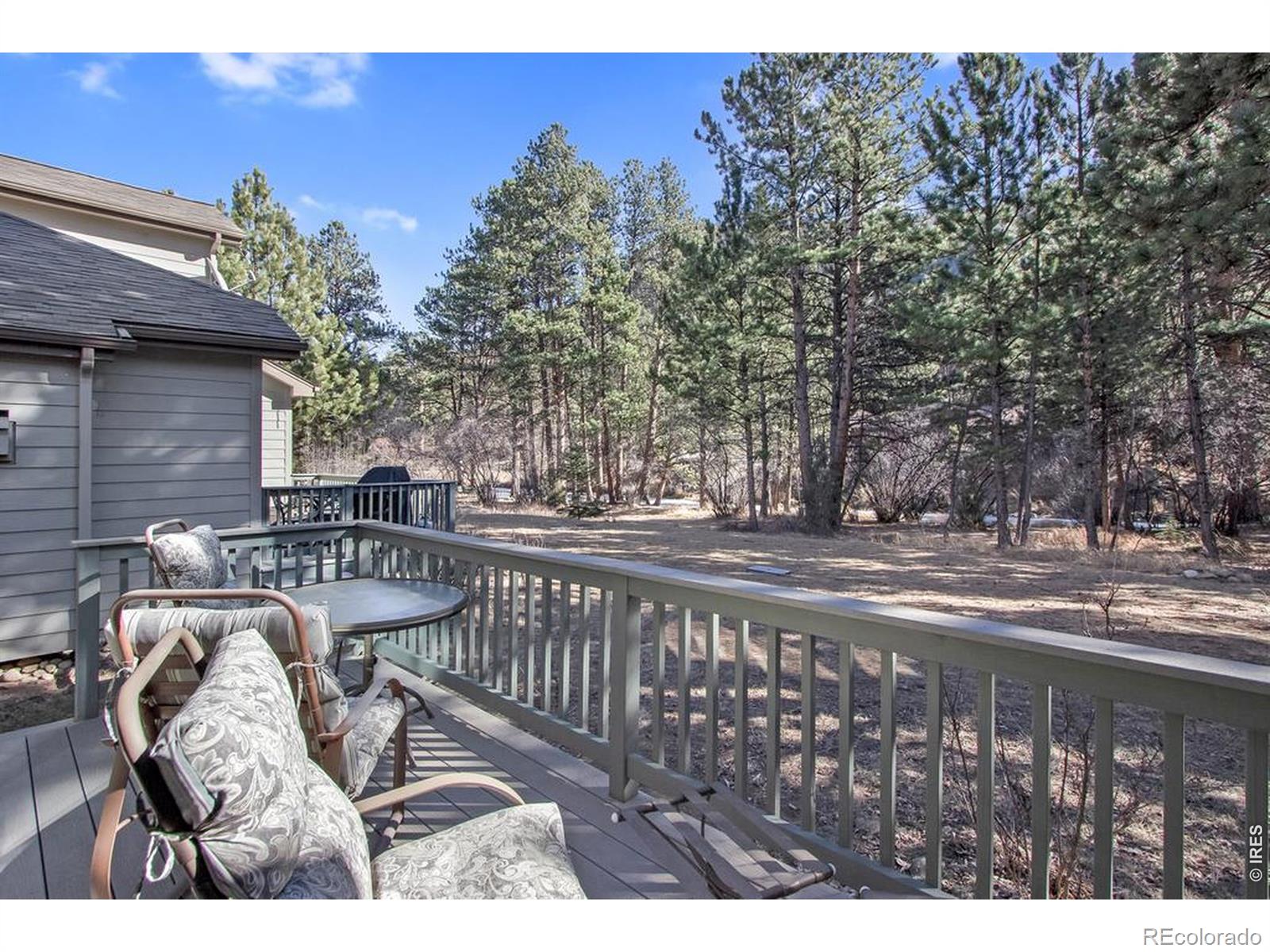 MLS Image #41 for 650  park river place,estes park, Colorado