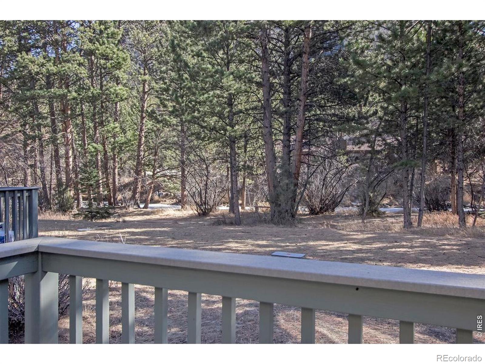 MLS Image #43 for 650  park river place,estes park, Colorado