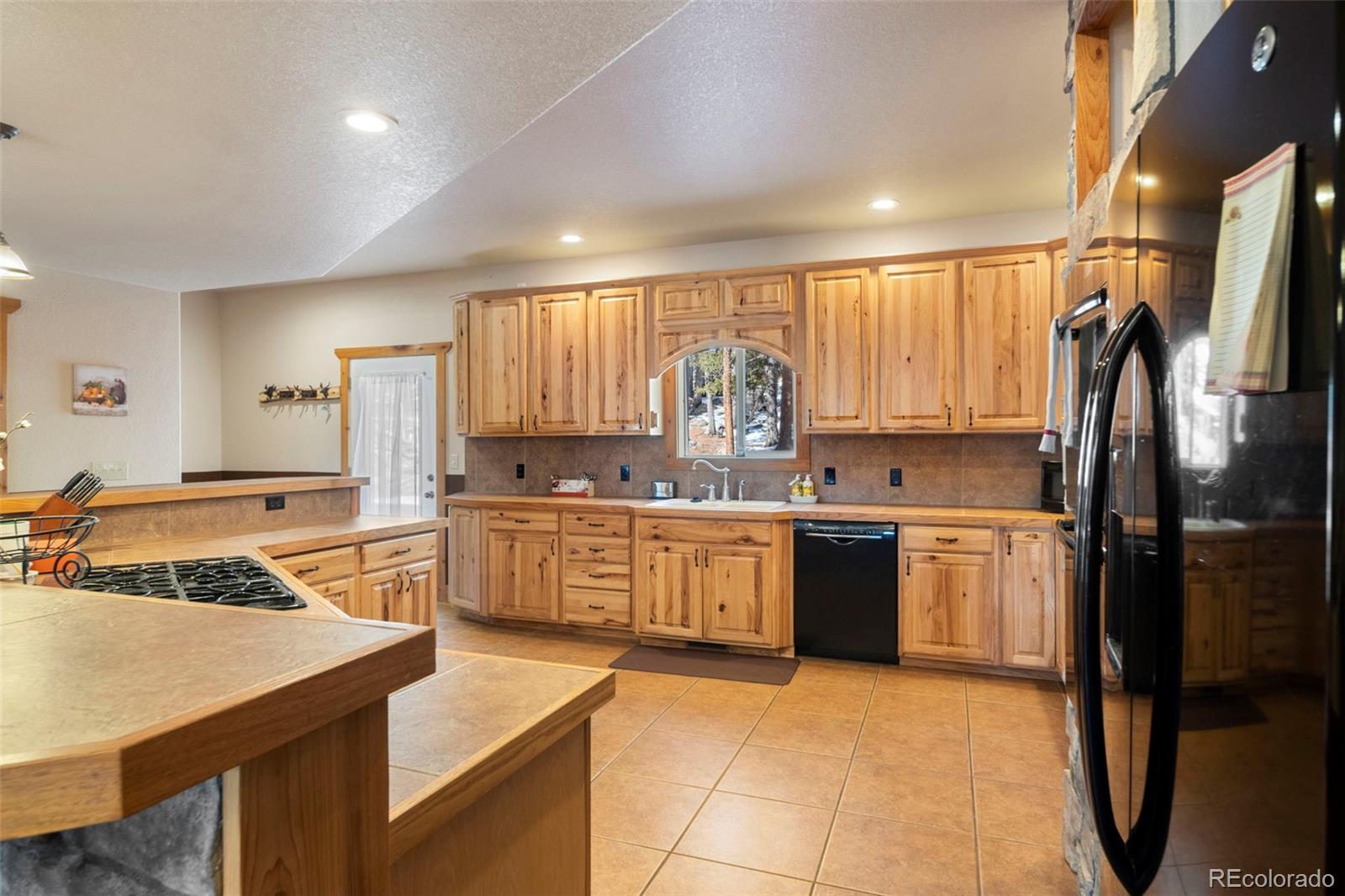 MLS Image #15 for 412  evergreen road,black hawk, Colorado