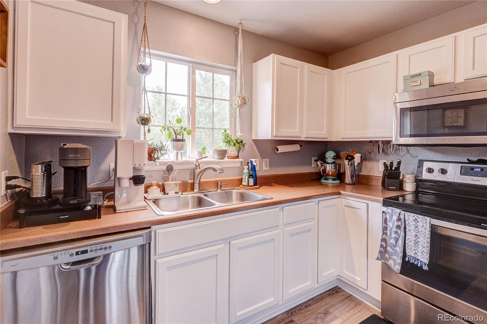 MLS Image #11 for 1458  nemrick place,castle rock, Colorado