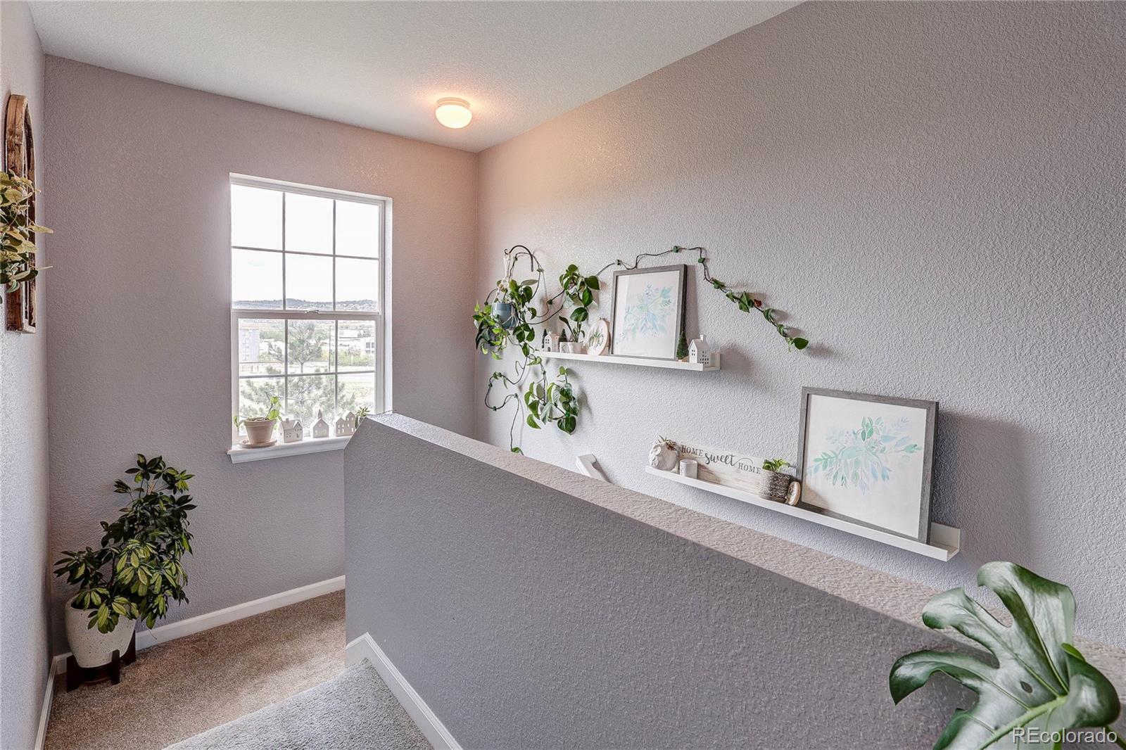 MLS Image #14 for 1458  nemrick place,castle rock, Colorado