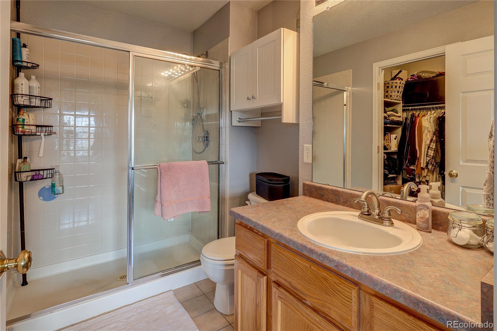 MLS Image #18 for 1458  nemrick place,castle rock, Colorado