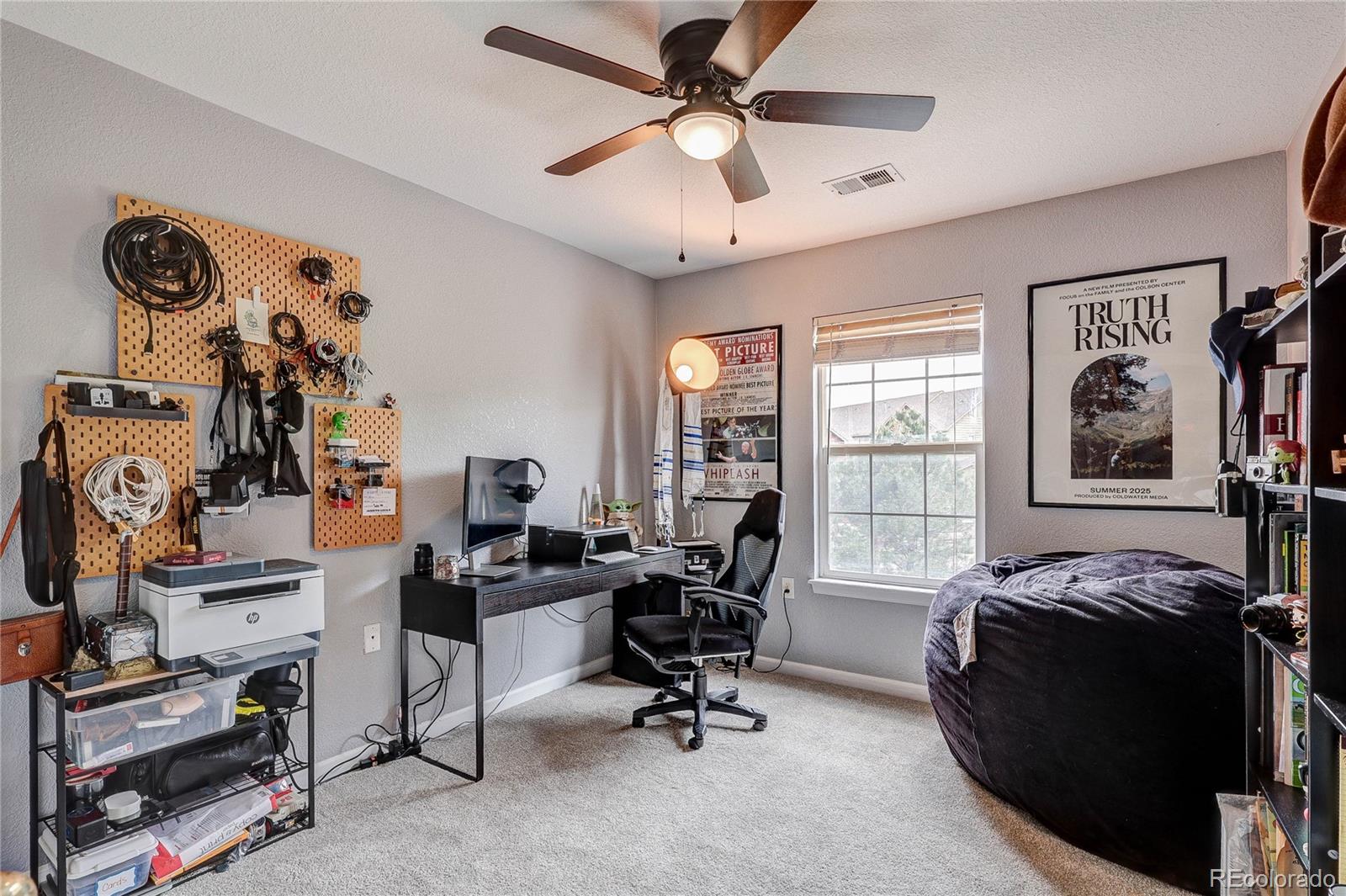 MLS Image #19 for 1458  nemrick place,castle rock, Colorado