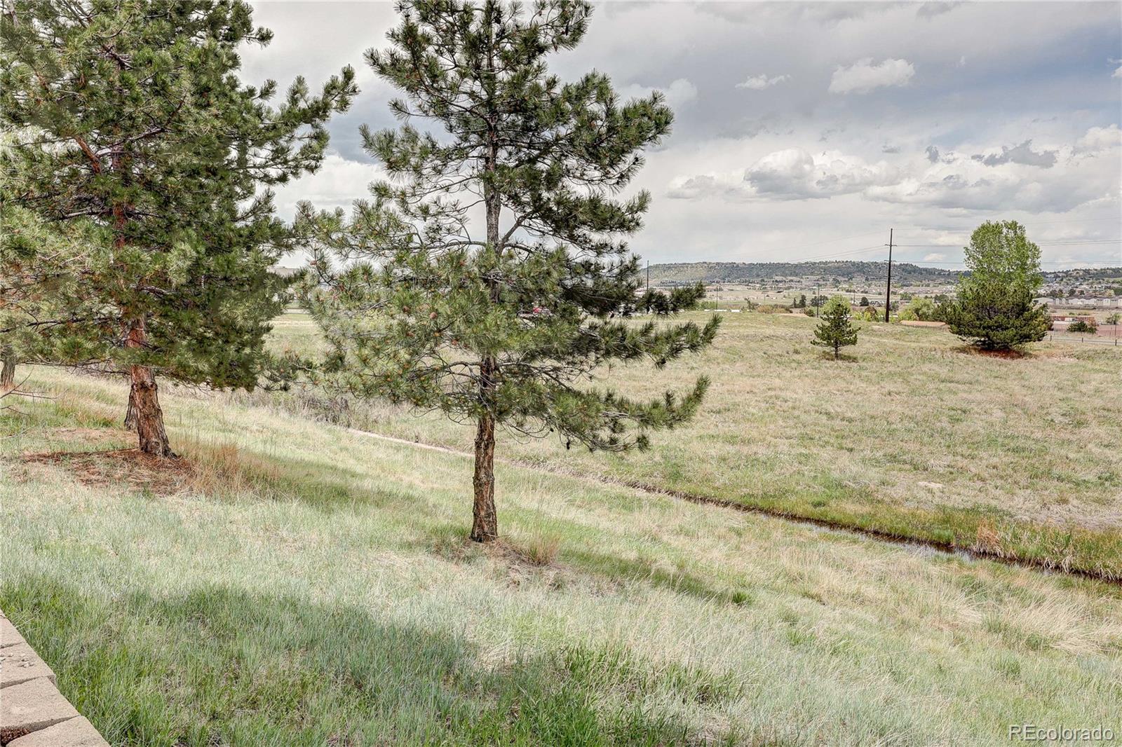 MLS Image #31 for 1458  nemrick place,castle rock, Colorado