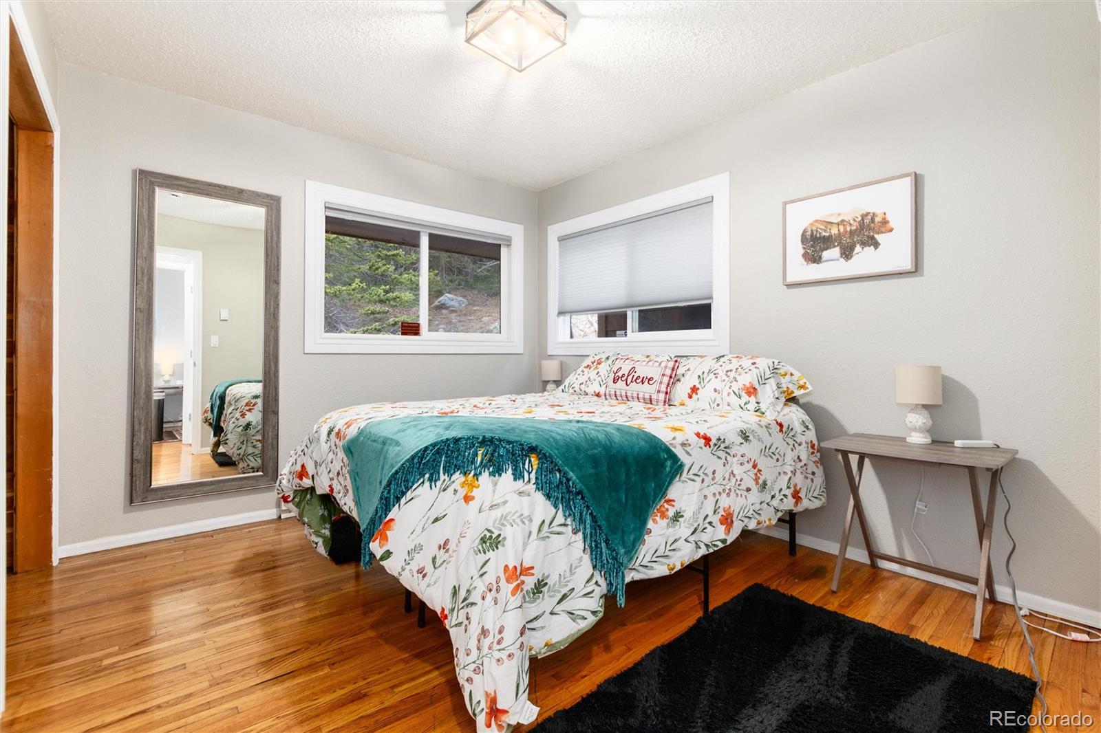 MLS Image #12 for 159  lake road,idaho springs, Colorado