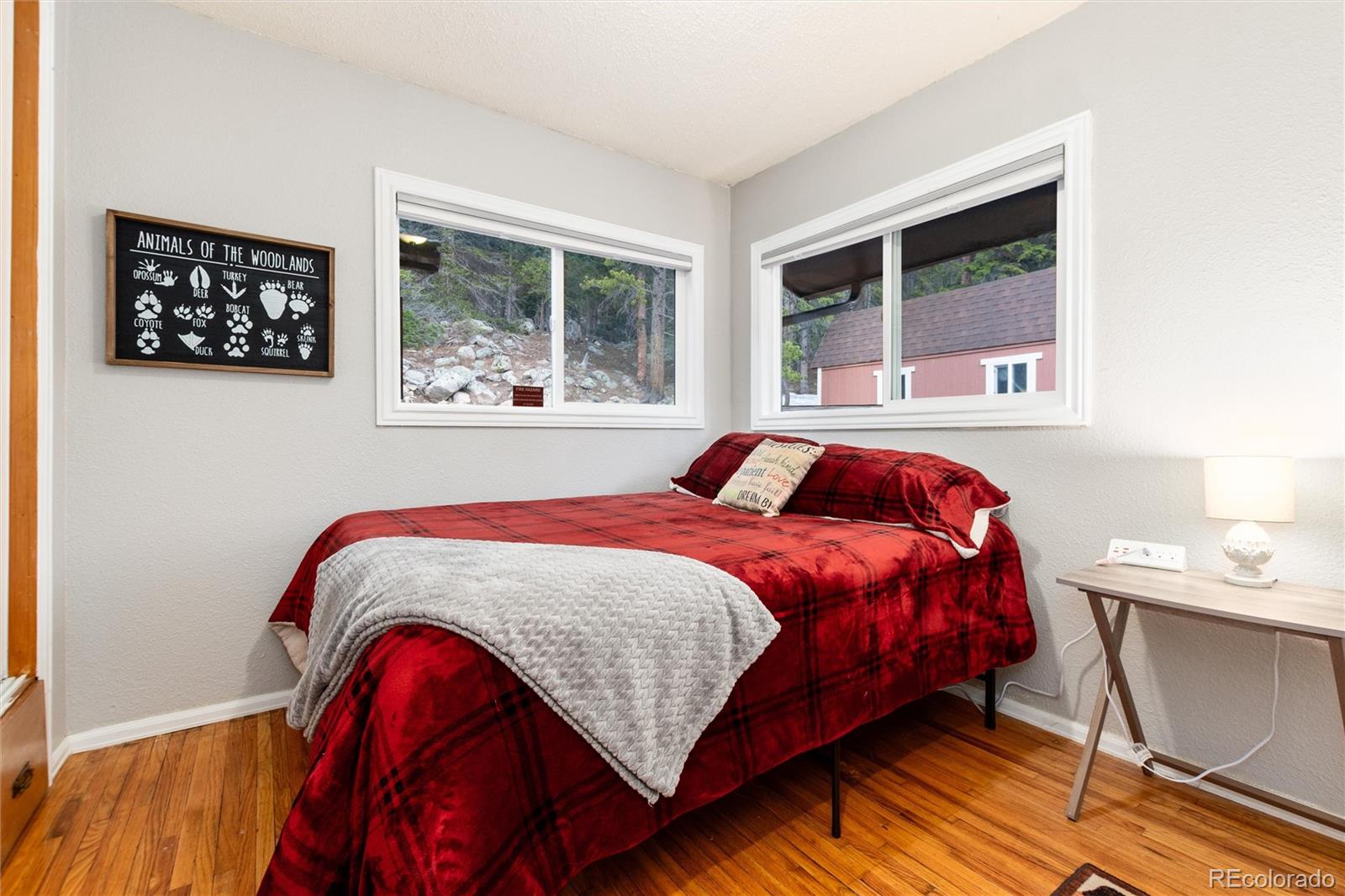 MLS Image #13 for 159  lake road,idaho springs, Colorado