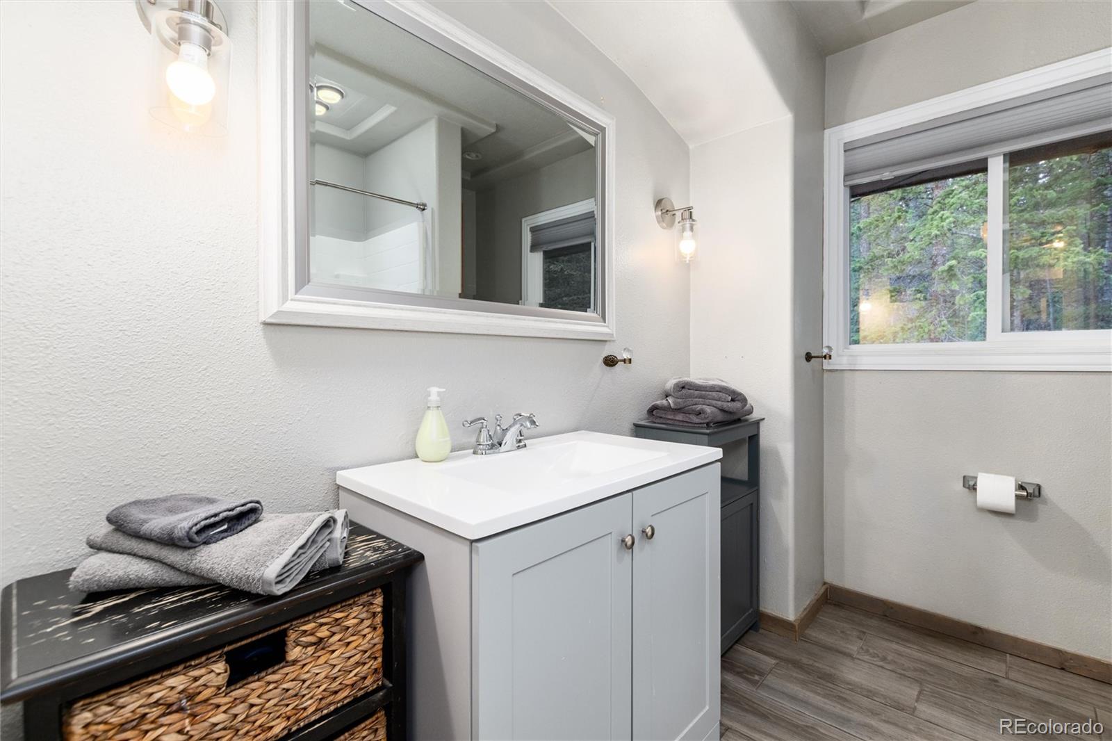 MLS Image #14 for 159  lake road,idaho springs, Colorado