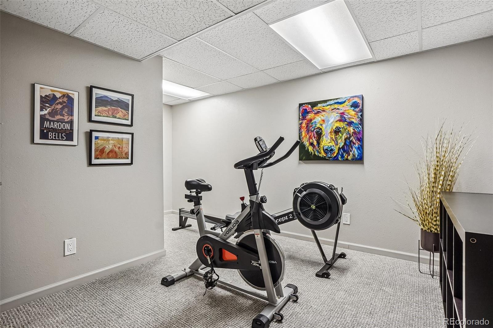 MLS Image #27 for 6103 e long circle ,centennial, Colorado