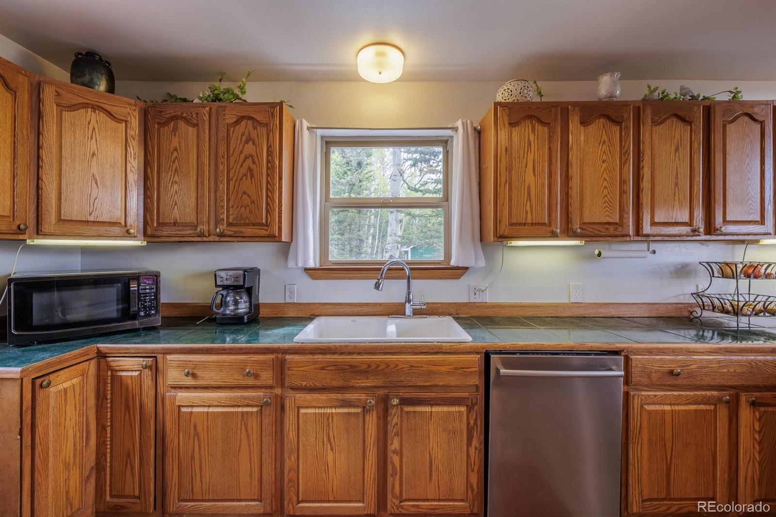 MLS Image #10 for 124  bear trail,lake george, Colorado