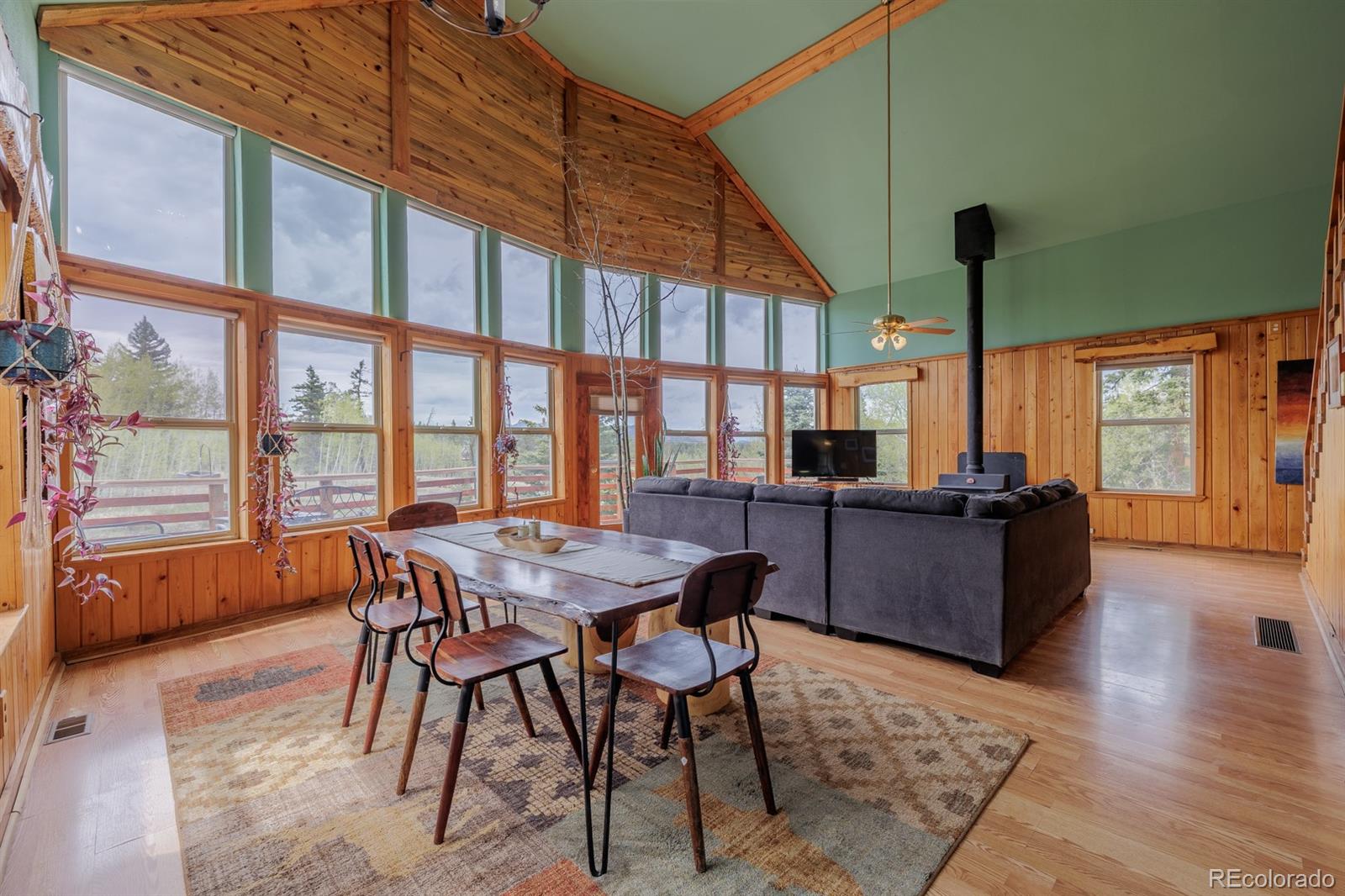 MLS Image #11 for 124  bear trail,lake george, Colorado