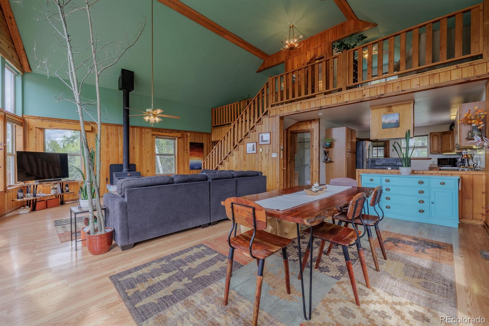 MLS Image #13 for 124  bear trail,lake george, Colorado