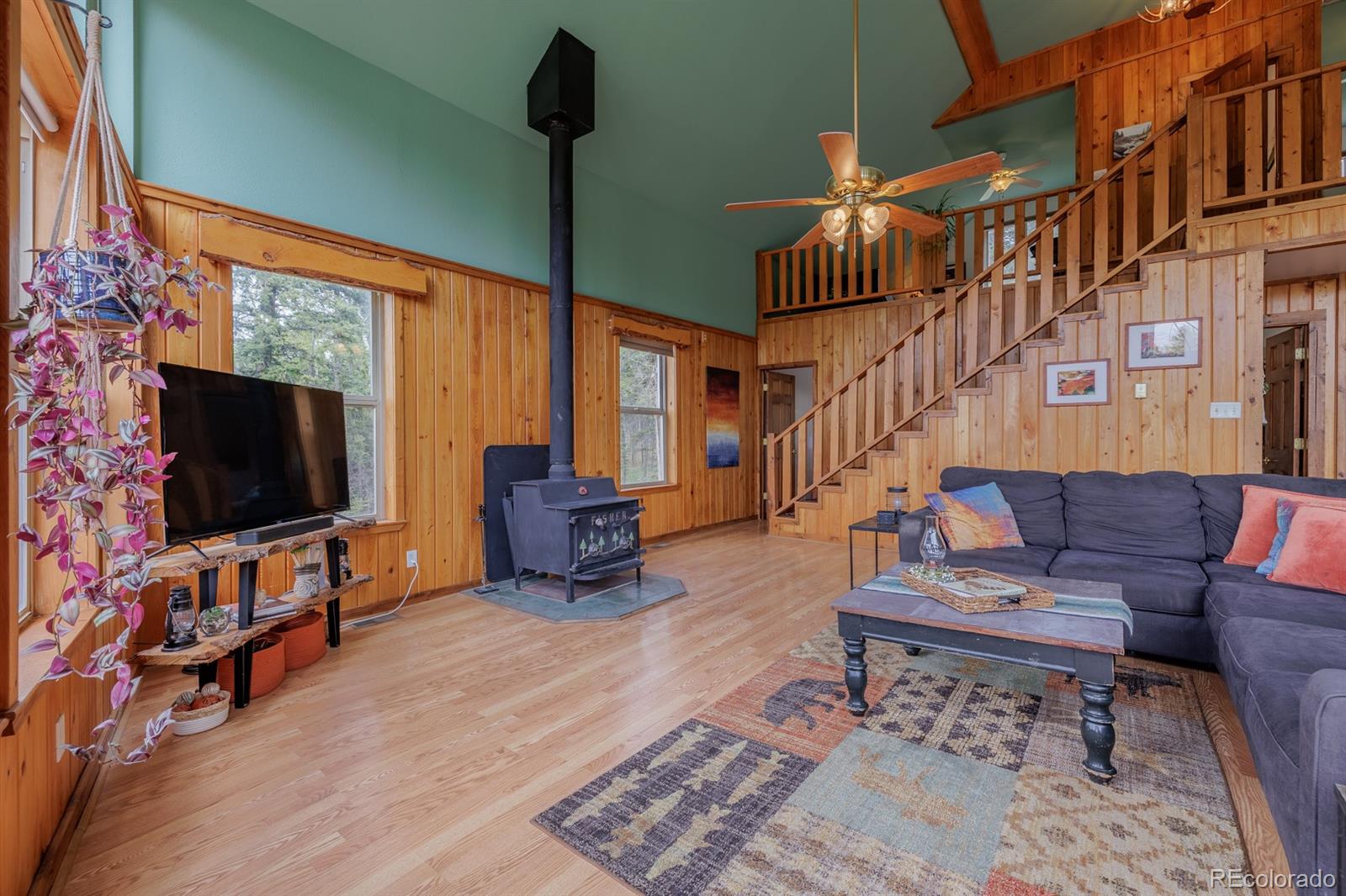 MLS Image #14 for 124  bear trail,lake george, Colorado