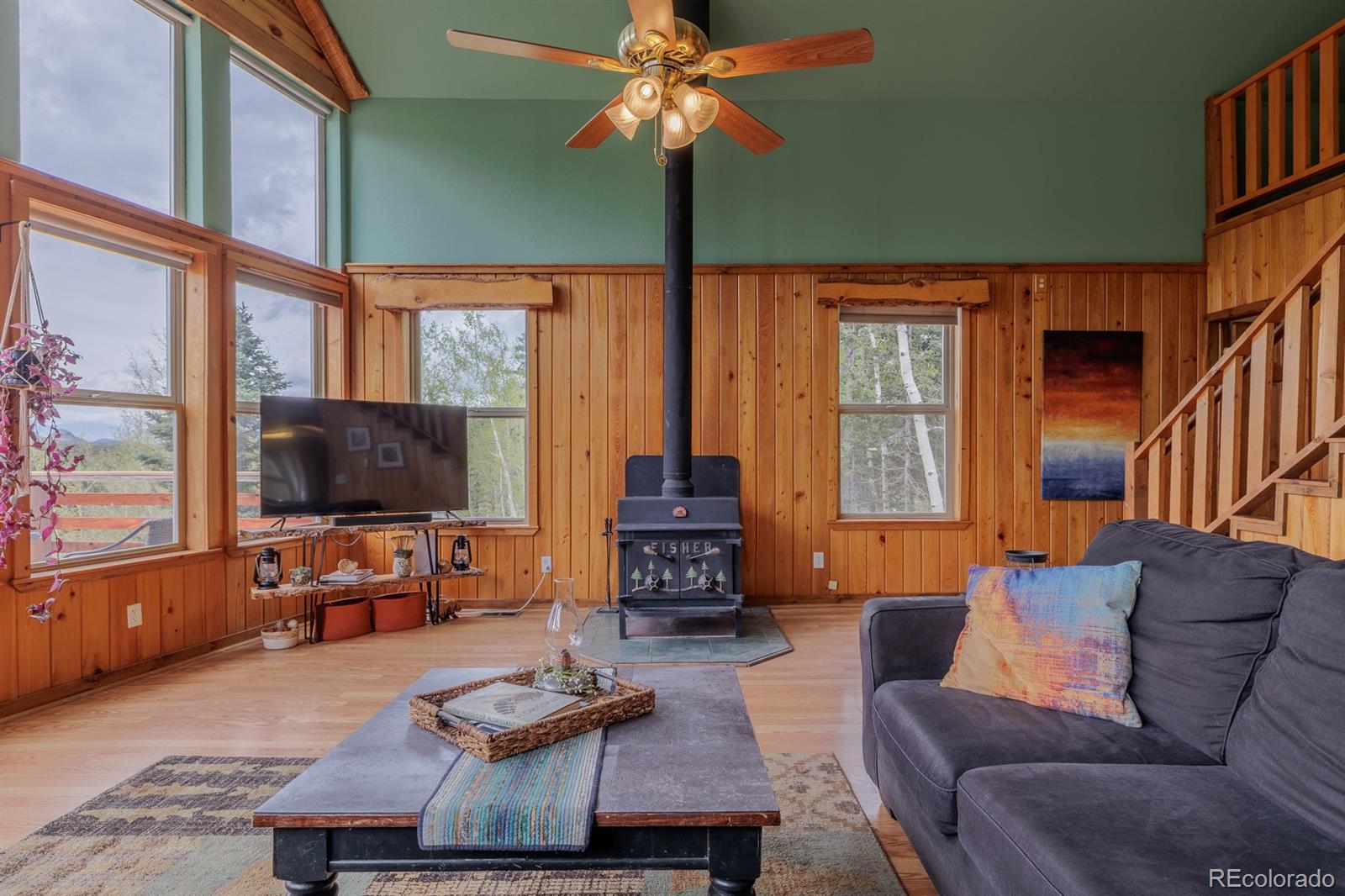 MLS Image #15 for 124  bear trail,lake george, Colorado