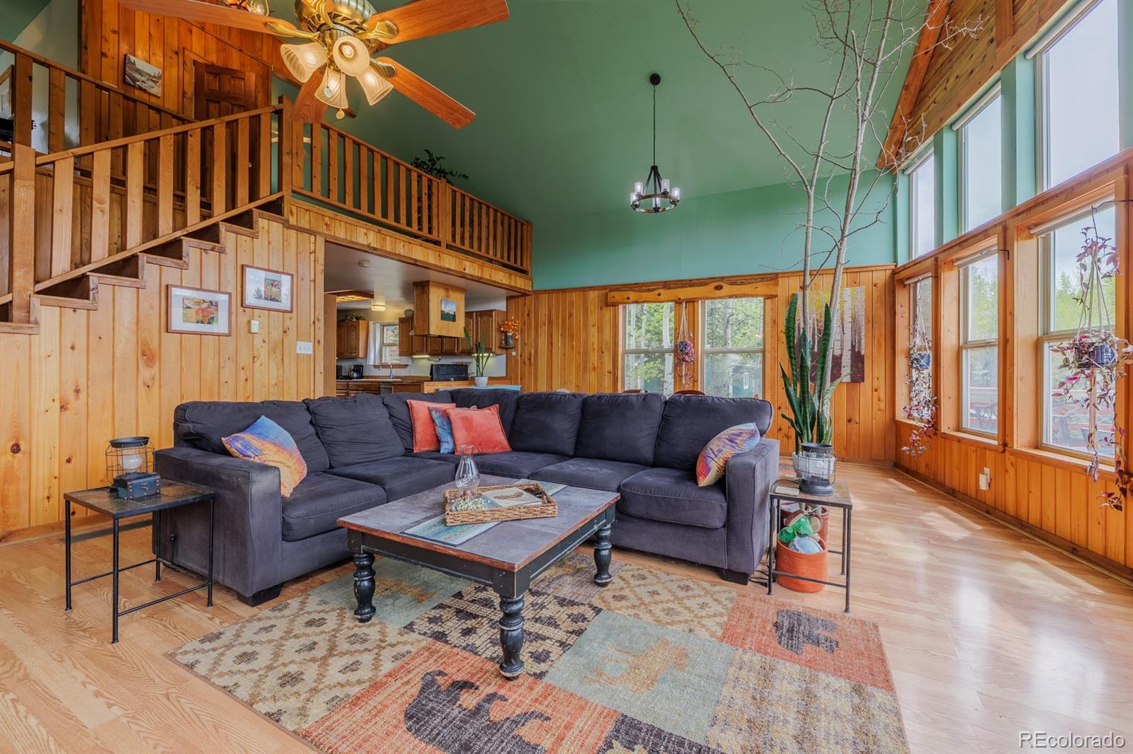 MLS Image #16 for 124  bear trail,lake george, Colorado