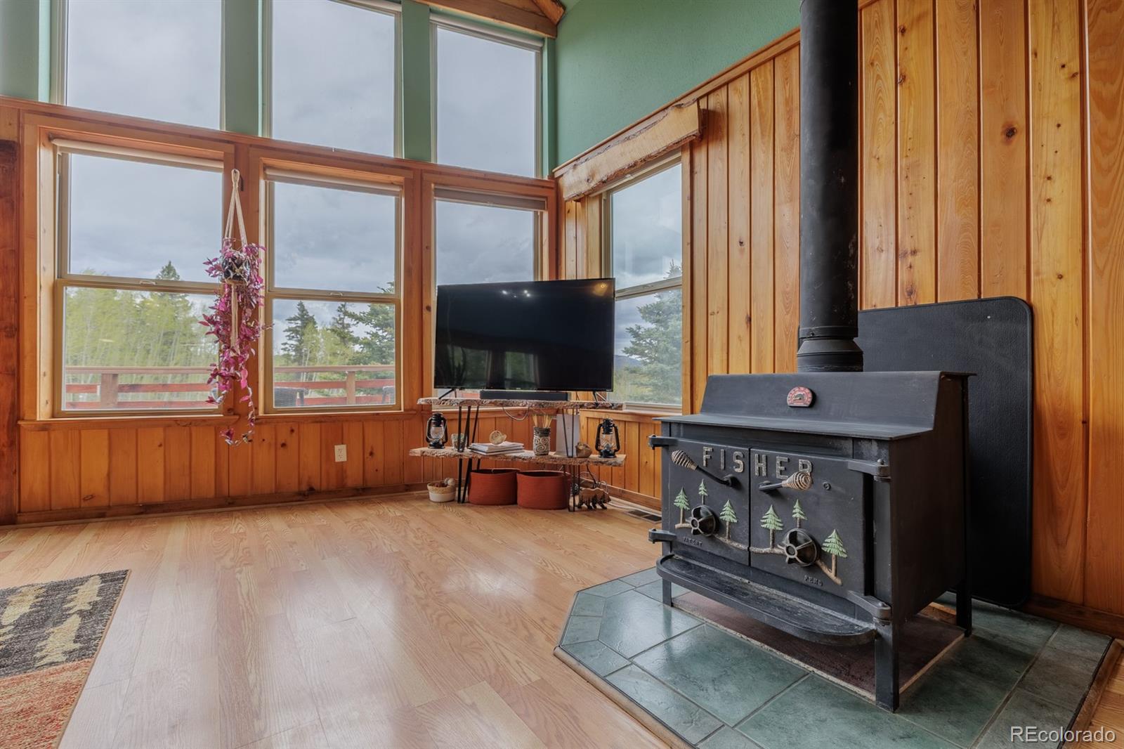 MLS Image #17 for 124  bear trail,lake george, Colorado