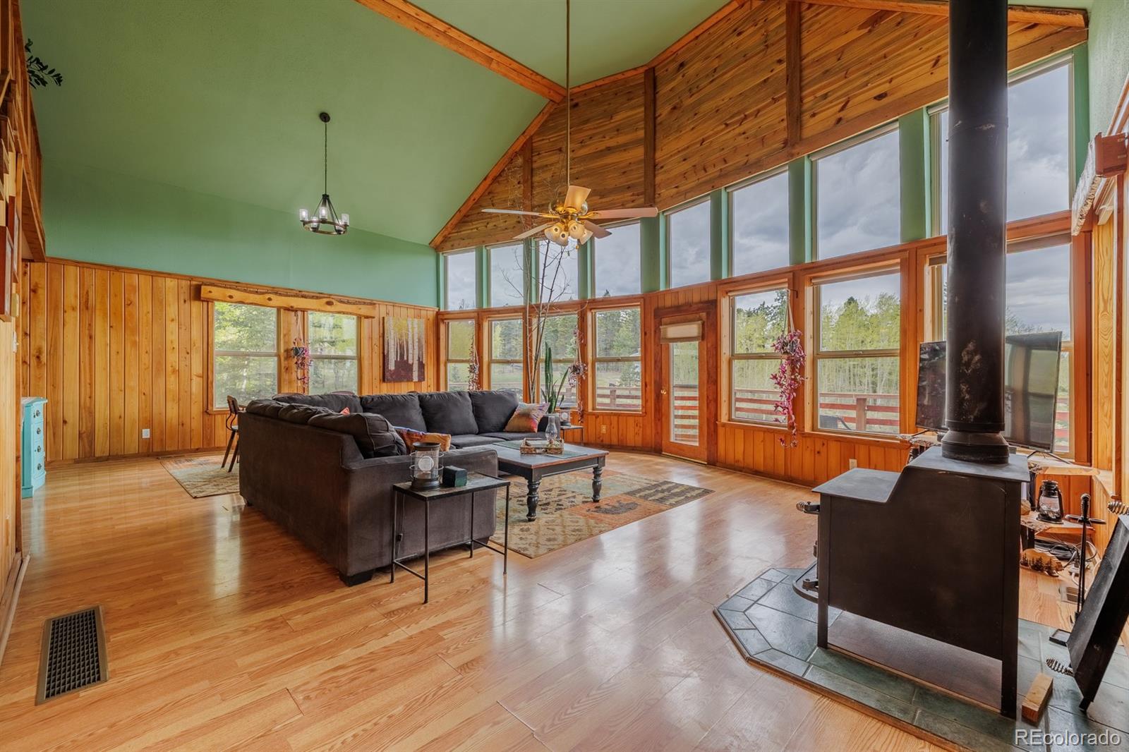 MLS Image #18 for 124  bear trail,lake george, Colorado