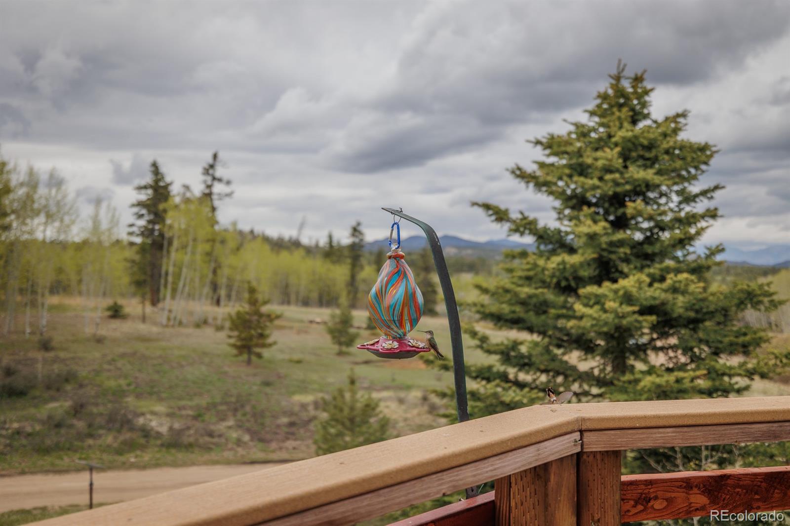 MLS Image #20 for 124  bear trail,lake george, Colorado