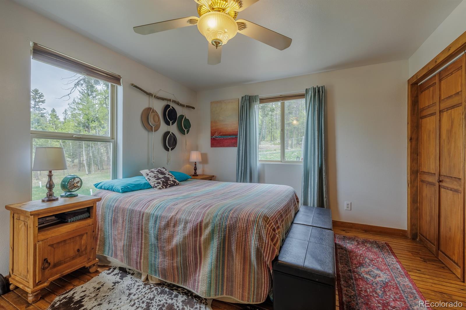 MLS Image #23 for 124  bear trail,lake george, Colorado