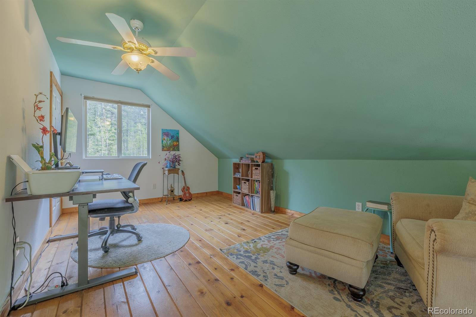MLS Image #28 for 124  bear trail,lake george, Colorado