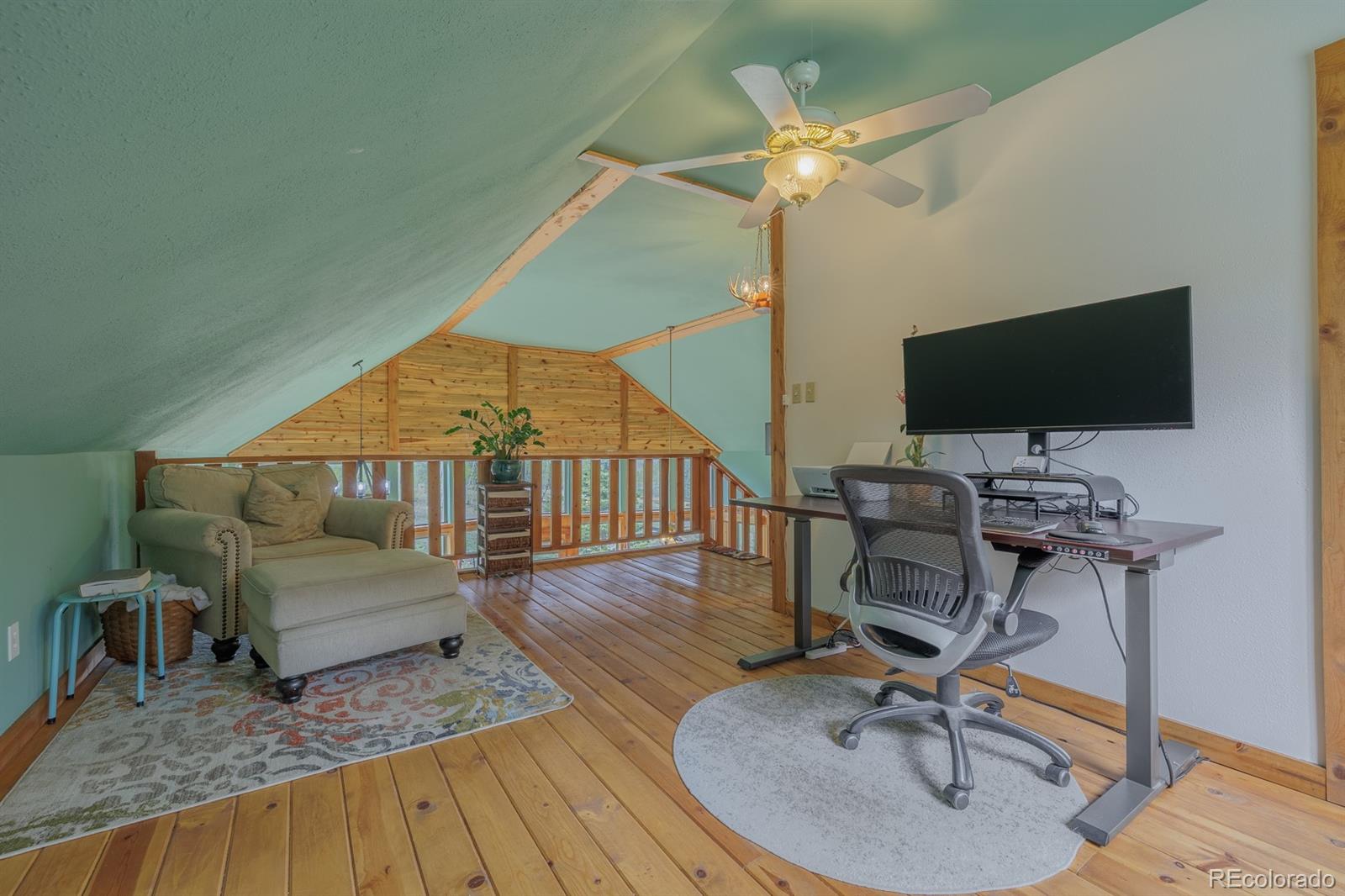 MLS Image #29 for 124  bear trail,lake george, Colorado