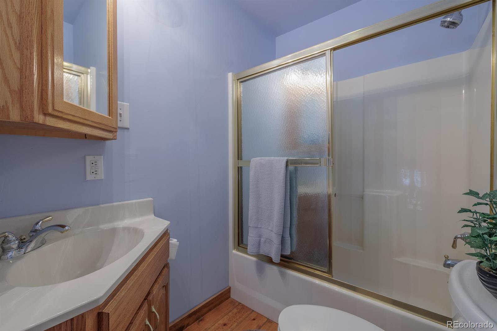 MLS Image #30 for 124  bear trail,lake george, Colorado