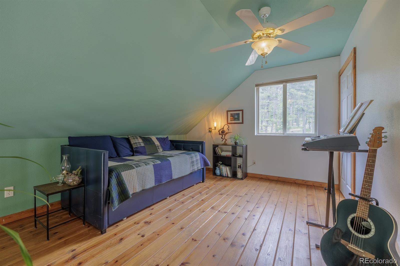 MLS Image #32 for 124  bear trail,lake george, Colorado