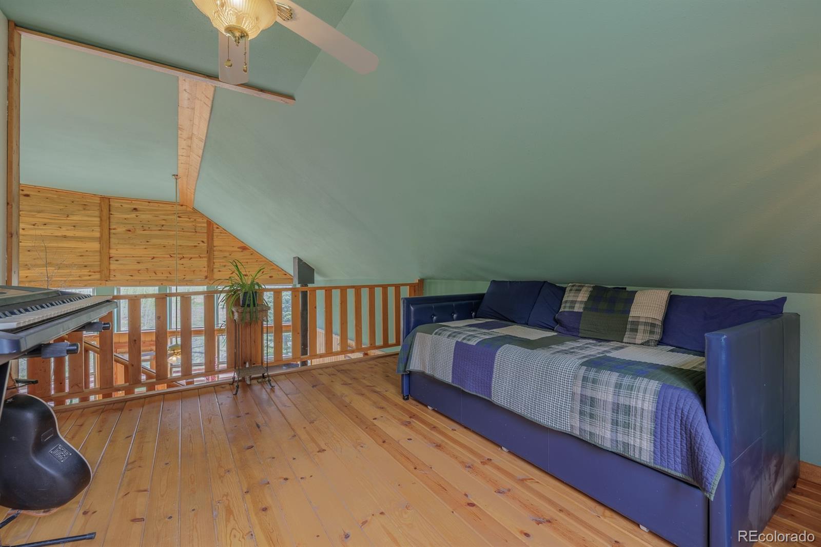MLS Image #33 for 124  bear trail,lake george, Colorado