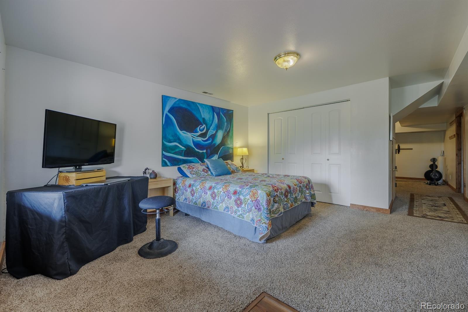 MLS Image #35 for 124  bear trail,lake george, Colorado