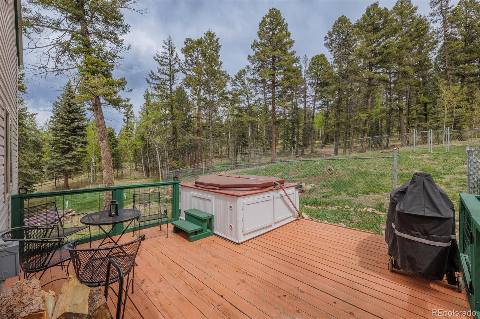 MLS Image #37 for 124  bear trail,lake george, Colorado