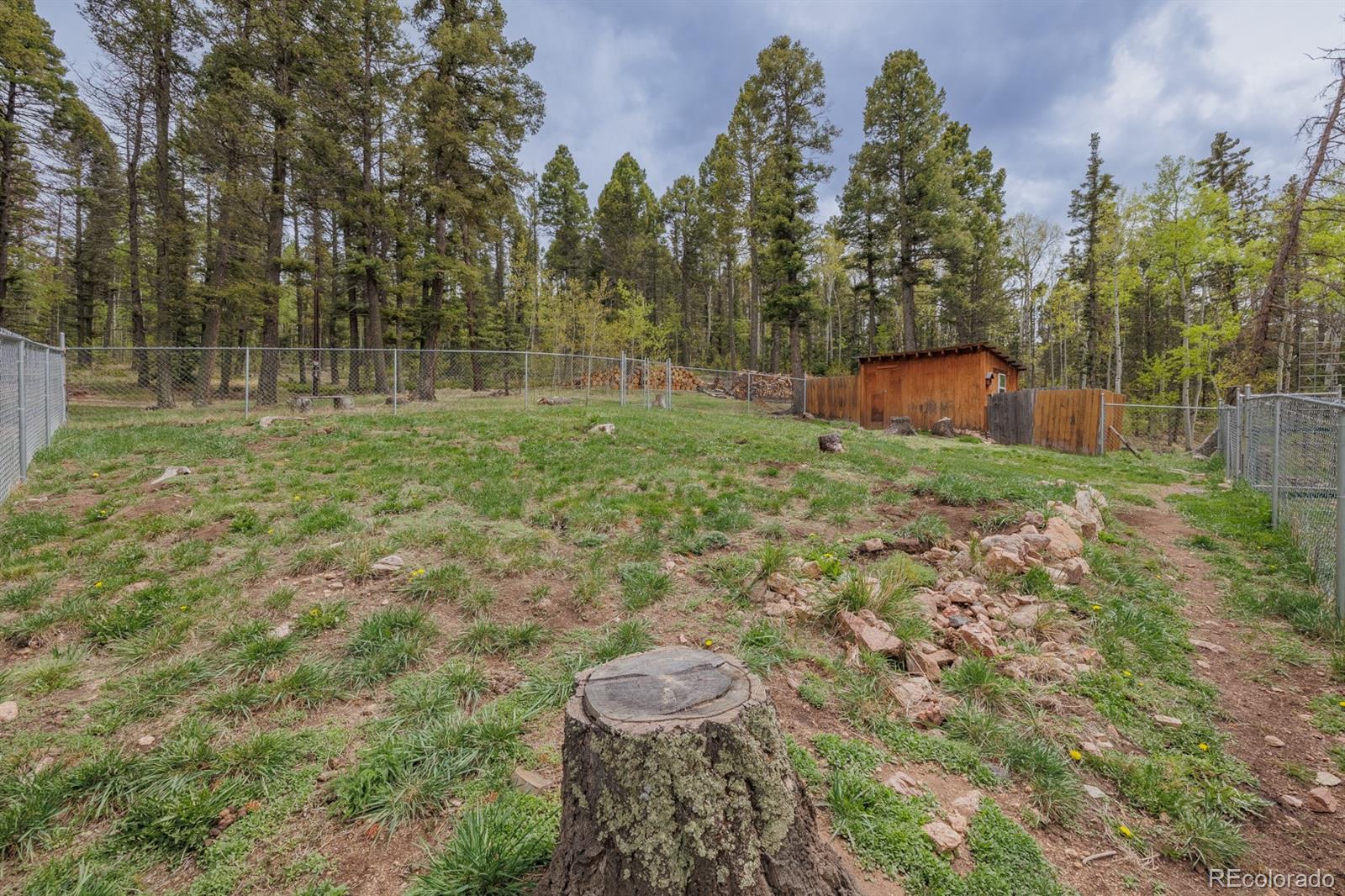 MLS Image #38 for 124  bear trail,lake george, Colorado