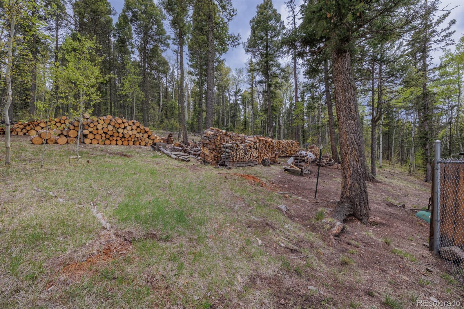 MLS Image #39 for 124  bear trail,lake george, Colorado