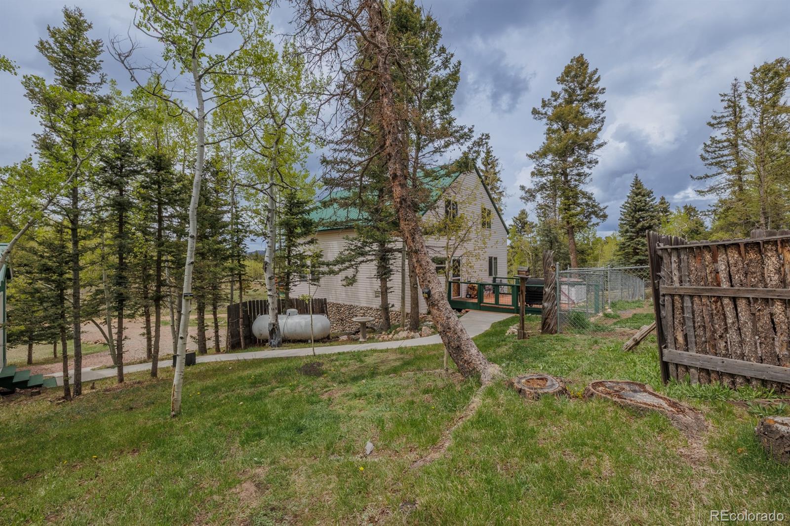 MLS Image #40 for 124  bear trail,lake george, Colorado