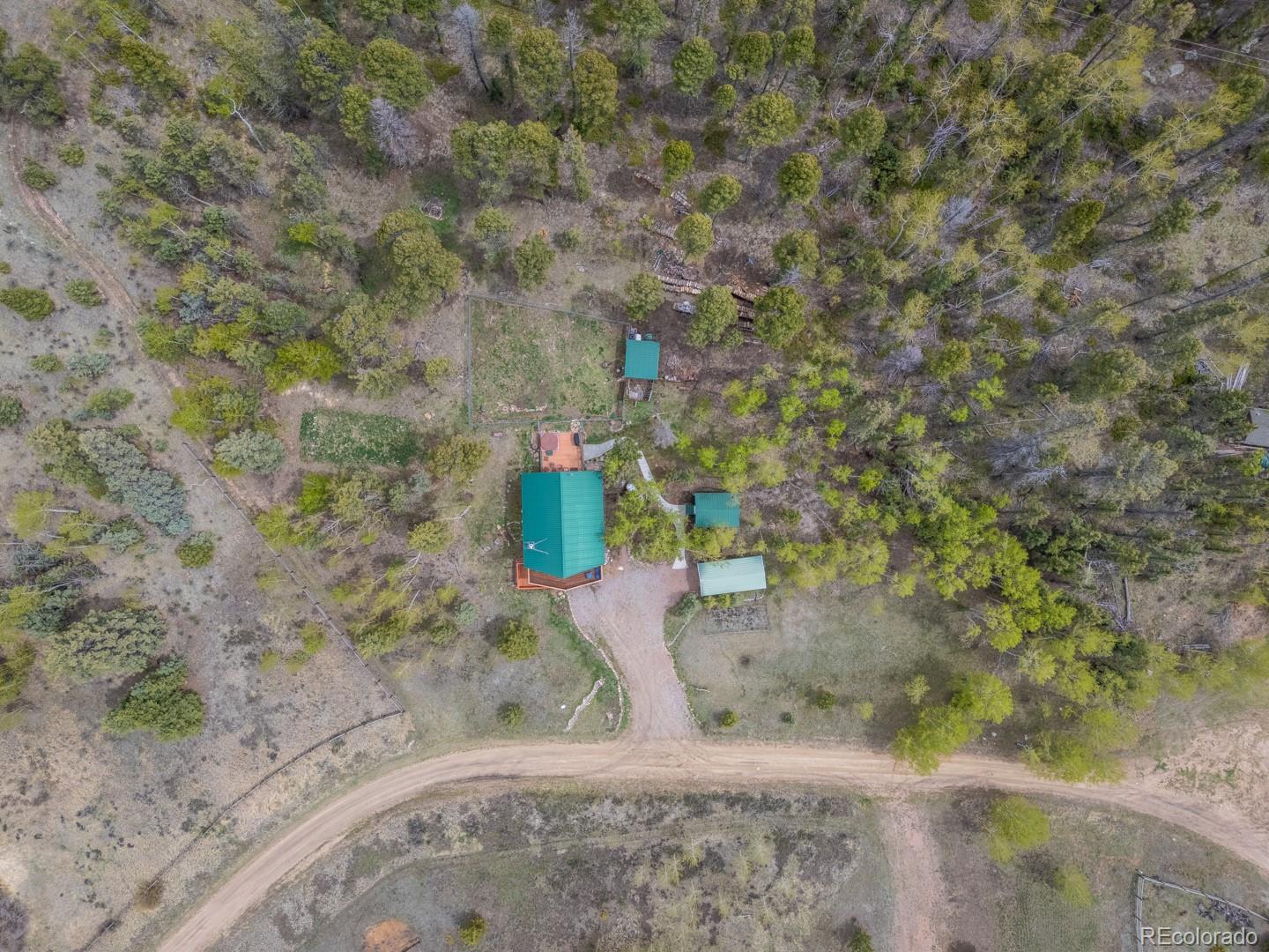 MLS Image #41 for 124  bear trail,lake george, Colorado
