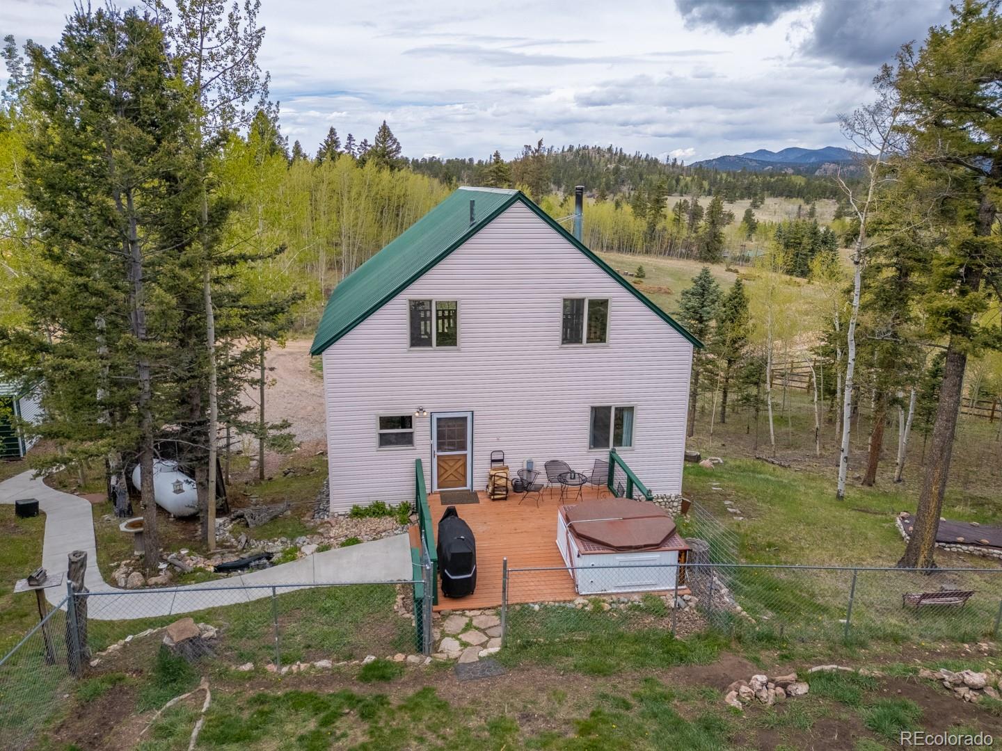 MLS Image #47 for 124  bear trail,lake george, Colorado