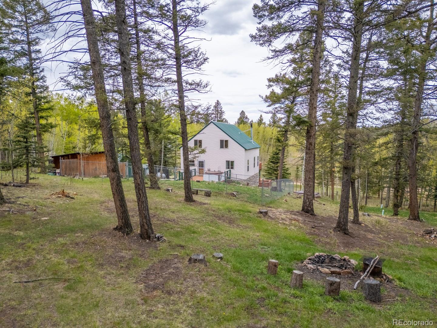 MLS Image #48 for 124  bear trail,lake george, Colorado