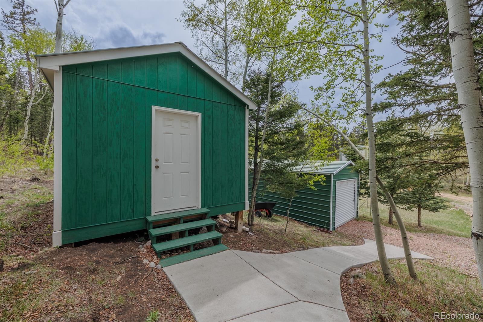 MLS Image #5 for 124  bear trail,lake george, Colorado