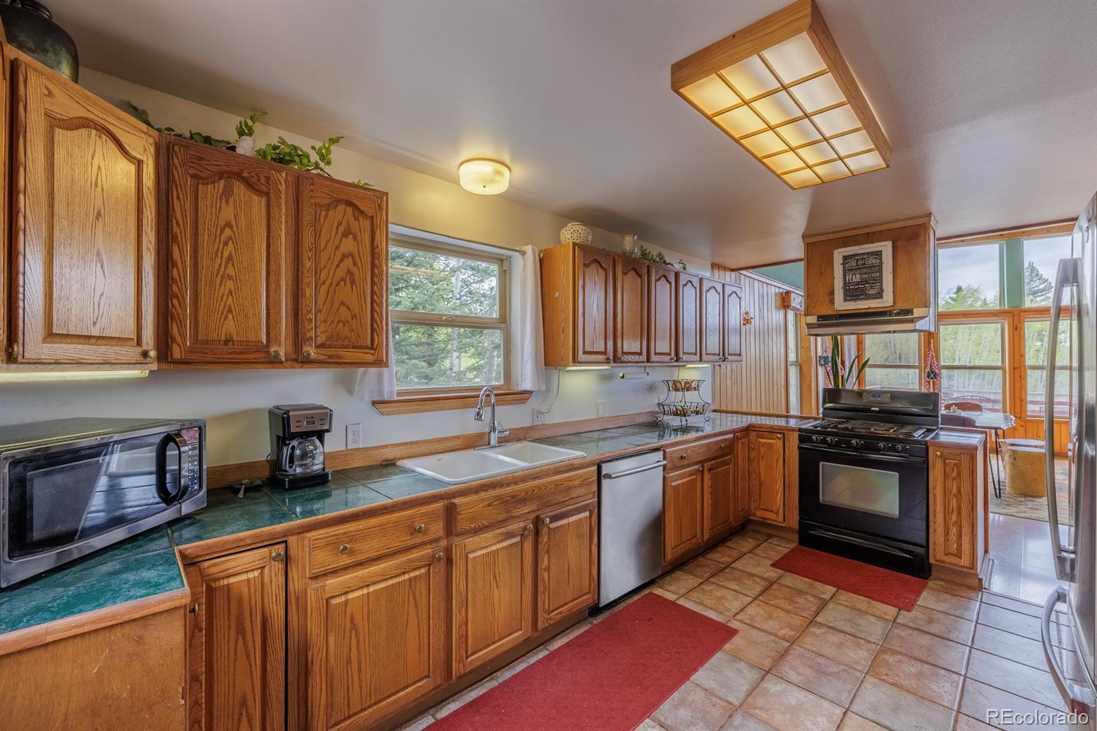 MLS Image #7 for 124  bear trail,lake george, Colorado