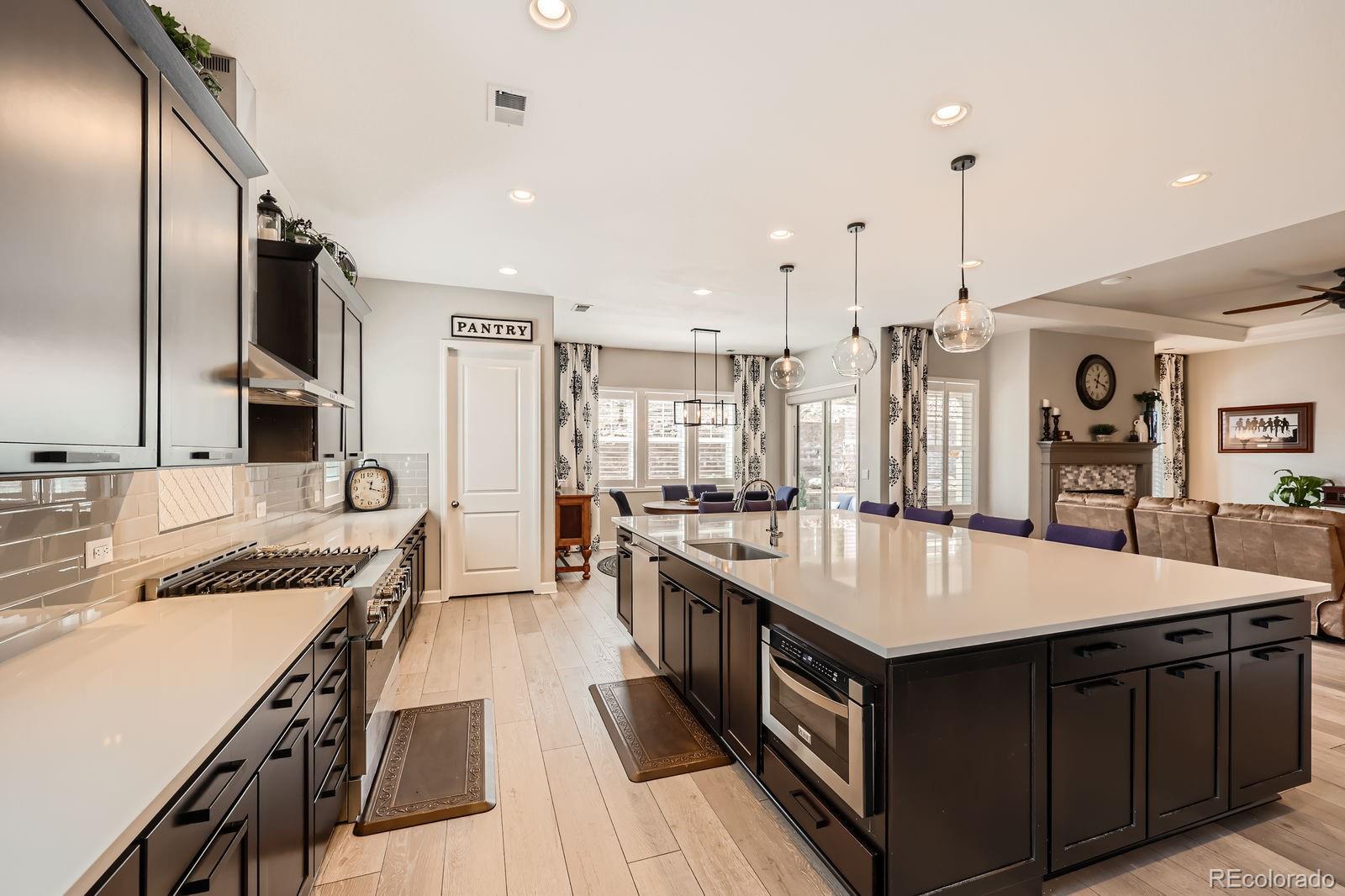MLS Image #13 for 3981  old oaks street,castle rock, Colorado