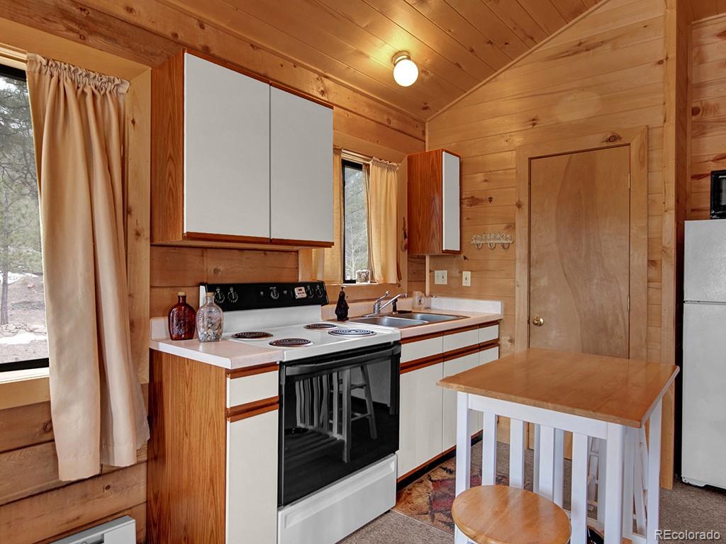 MLS Image #10 for 1462  pulver road,lake george, Colorado