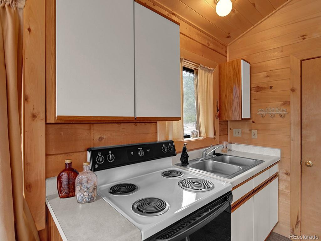 MLS Image #11 for 1462  pulver road,lake george, Colorado