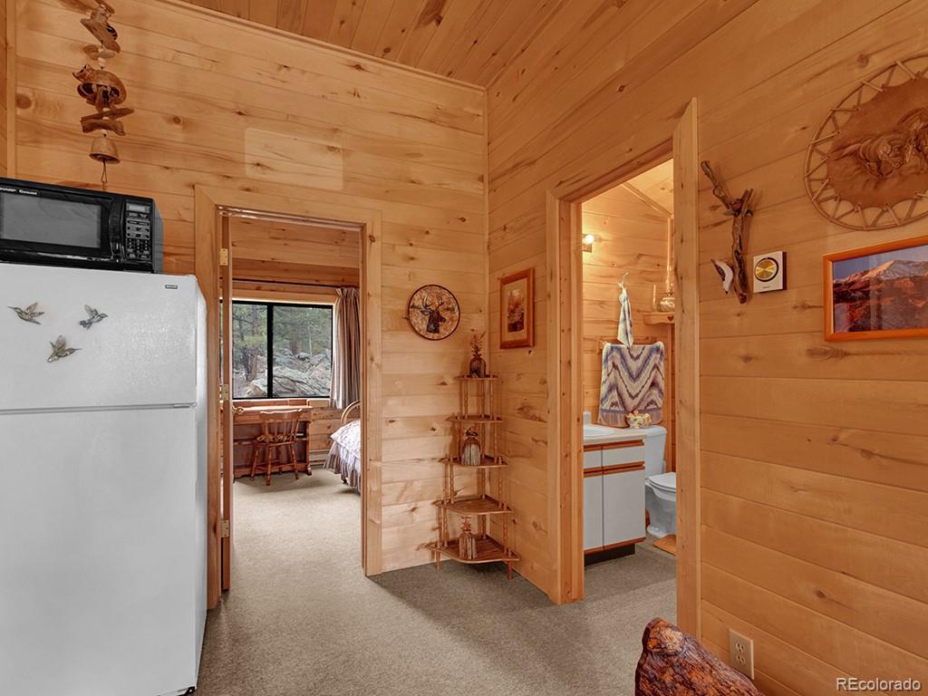 MLS Image #13 for 1462  pulver road,lake george, Colorado