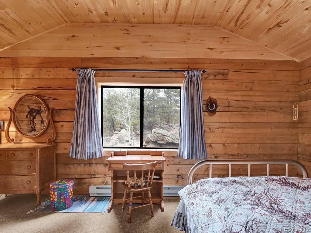 MLS Image #14 for 1462  pulver road,lake george, Colorado