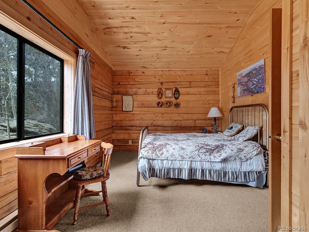 MLS Image #15 for 1462  pulver road,lake george, Colorado